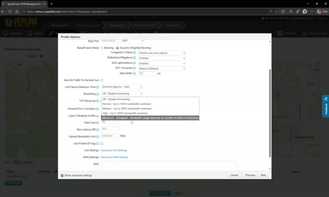 WAN smoothing — duplicate packets across links (low ~100%, medium 200%, high 300%, maximum) for lowest-latency resilience.