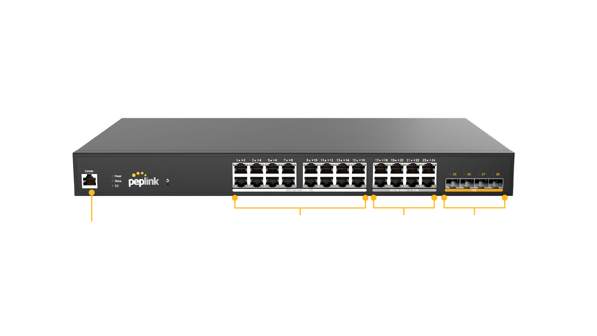 Peplink Switch